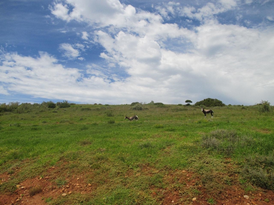 0 Bedroom Property for Sale in Outeniquasbosch Western Cape